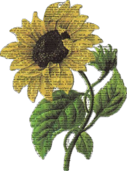 Girasol